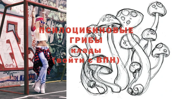 дживик Нязепетровск