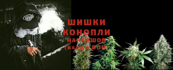 дживик Нязепетровск