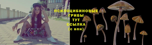ALPHA-PVP Остров