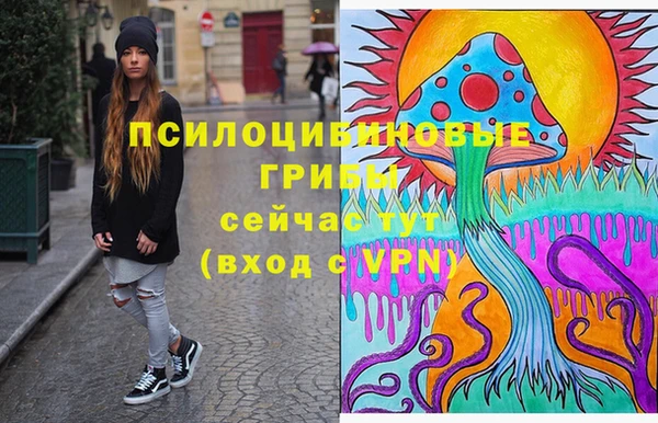 дживик Нязепетровск