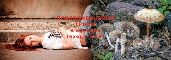 PSILOCYBIN Нягань