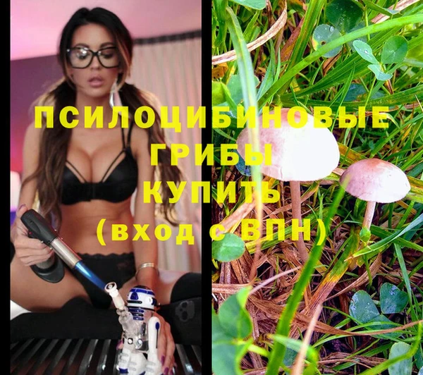 мдма Няндома