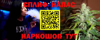 прущие грибы Донской