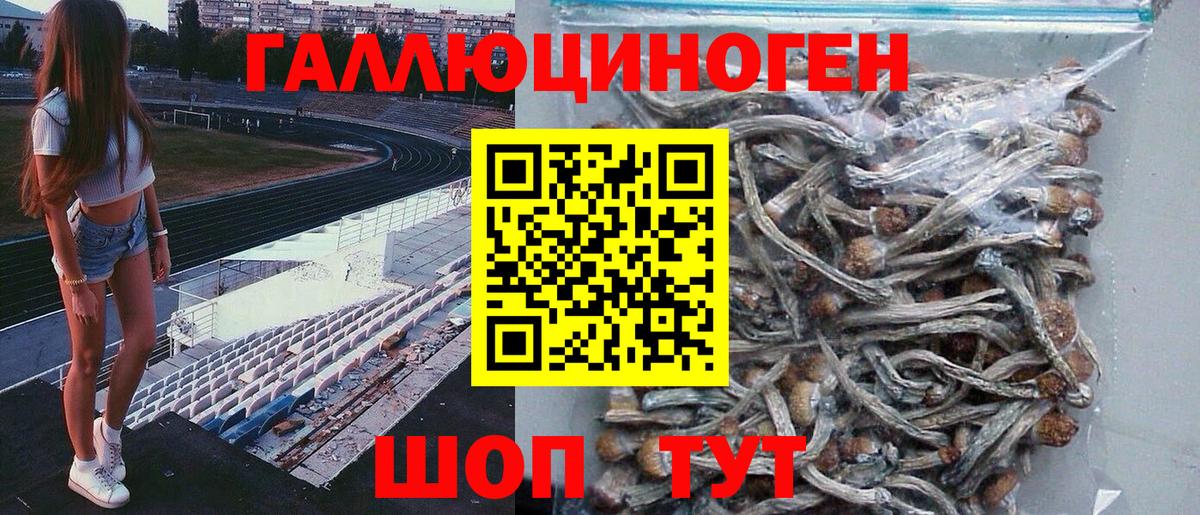 Смоленск  Псилоцибиновые грибы Psilocybine cubensis  Вход с VPN 